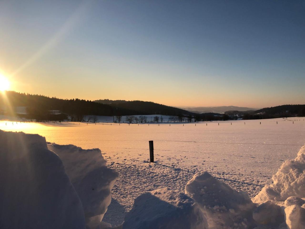Vila Pasecna - Lipno Přední Výtoň Exterior foto